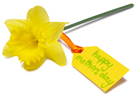 Mothers Day Gifts