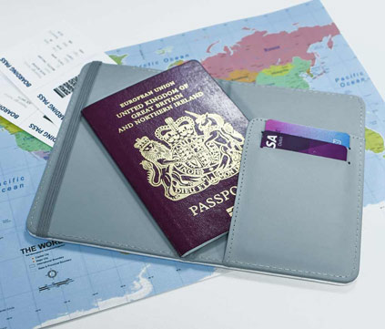 Personalised Passport Holder - Ladybirds