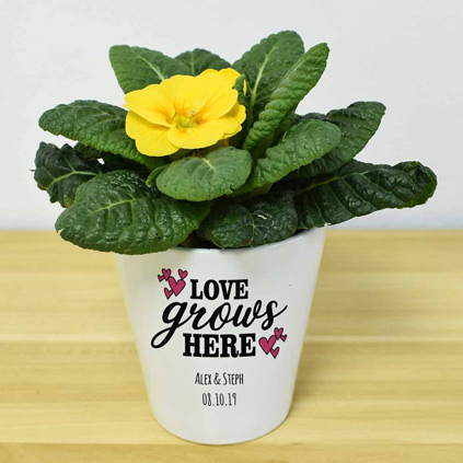 Personalised Flower Pot - Love Grows Here