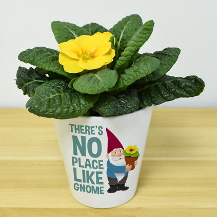 Personalised Flower Pot - There's No Place Like Gnome
