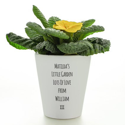 Personalised Flower Pot - There's No Place Like Gnome