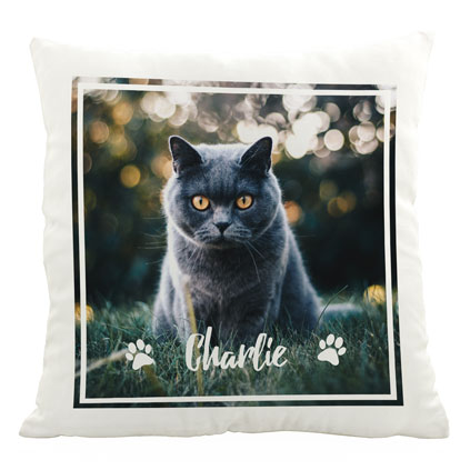 Personalised Photo Cushion - Cat Lover