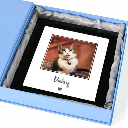 Personalised Photo Print Portrait - Cat Love Heart