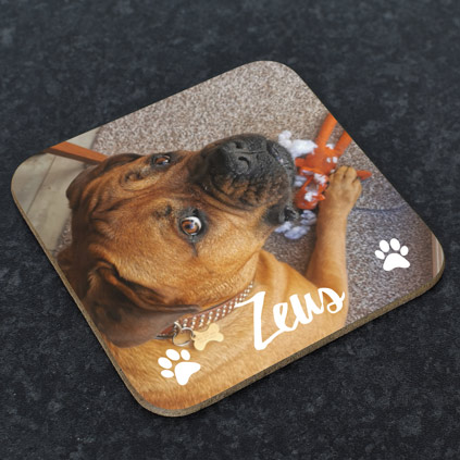 Personalised Photo Coaster - Dog Lover