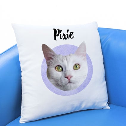Personalised Pet Face Cushion Choose Colour