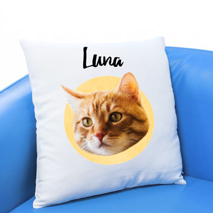 Personalised Pet Face Cushion Choose Colour