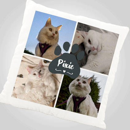 Personalised Multi Photo Upload Cat Cushion Choose Colour