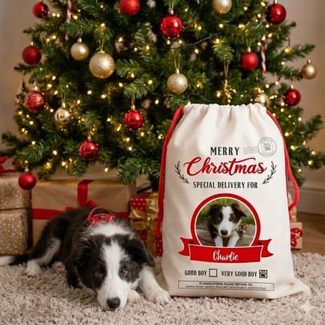 Personalised Dog Santa Sack Photo Upload Christmas Gift