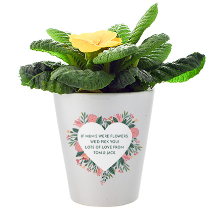Personalised If Mums Were Flowers I'd Pick You Flower Pot