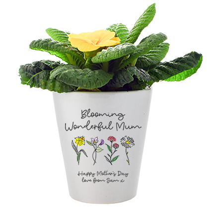 Personalised Blooming Wonderful Mum Flower Pot
