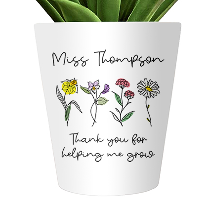 Personalised Thank You For Helping Me Grow Plant Pot