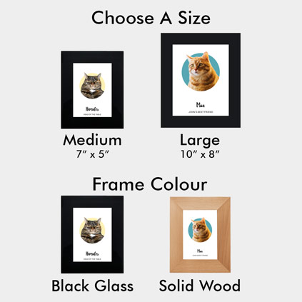 Personalised Pet Cat Portrait Photo Print