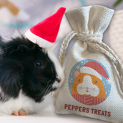 Personalised Mini Christmas Sack Gift Bag - Pet Treats