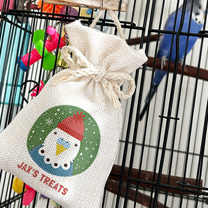 Personalised Mini Christmas Sack Gift Bag - Pet Treats
