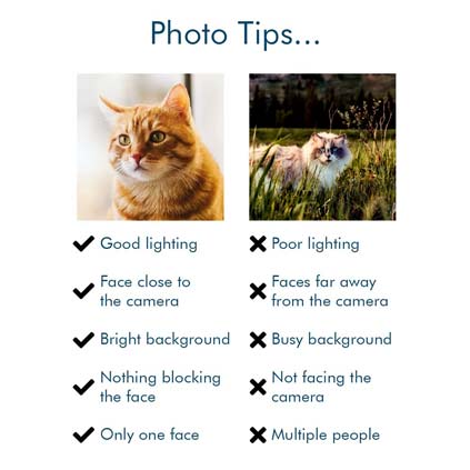 Personalised Pet Paws Santa Sack With Photo Upload