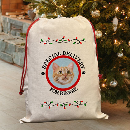Personalised Special Delivery Photo Santa Sack For Cats And Dogs