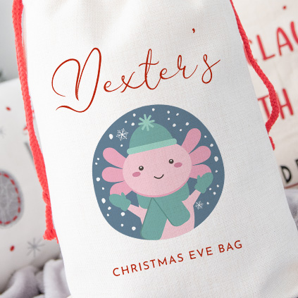 Personalised Childrens Santa Sack - Axolotl