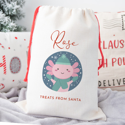 Personalised Childrens Santa Sack - Axolotl