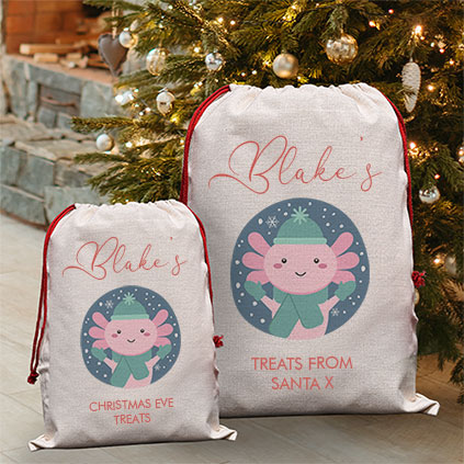 Personalised Childrens Santa Sack - Axolotl