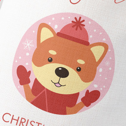 Personalised Childrens Santa Sack - Doge