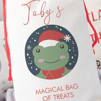 Personalised Childrens Santa Sack - Frog