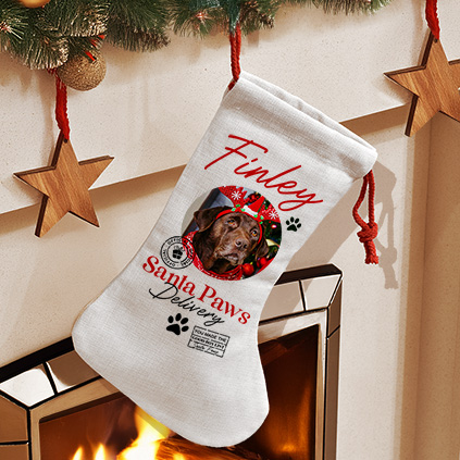 Photo Upload Pet Treats Christmas Stocking