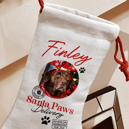 Photo Upload Pet Treats Christmas Stocking