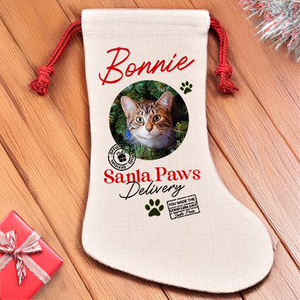 Photo Upload Pet Treats Christmas Stocking