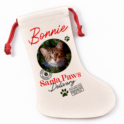Photo Upload Pet Treats Christmas Stocking