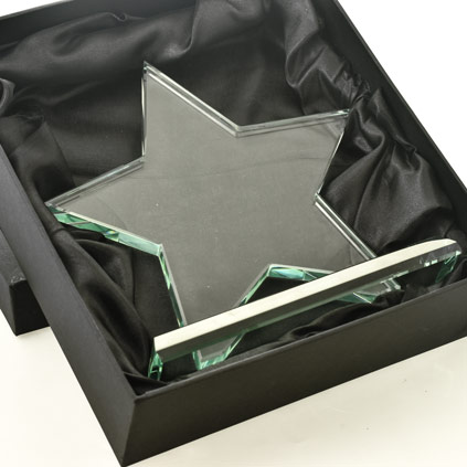 Personalised Glass Star Trophy Award