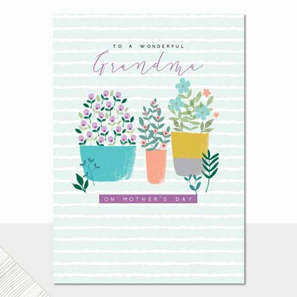 Wonderful Grandma on Mother's Day Greeting Card