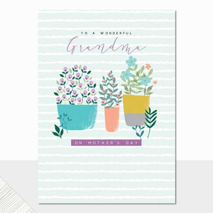 Wonderful Grandma on Mother's Day Greeting Card