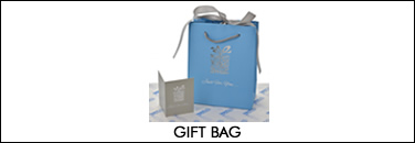 Gift Bag BG4