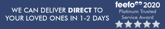 5 Star Reviews And Next Day Delivery 5 Star Reviews And Next Day Delivery