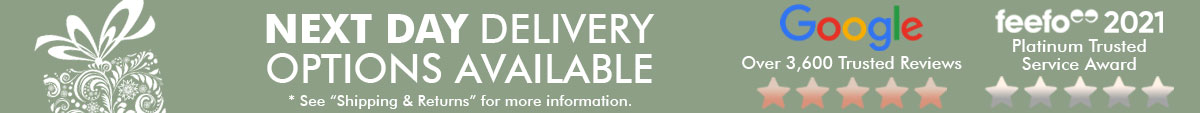 5 Star Reviews And Next Day Delivery Option sales banner