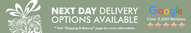 5 Star Reviews And Next Day Delivery Option 5 Star Reviews And Next Day Delivery Option