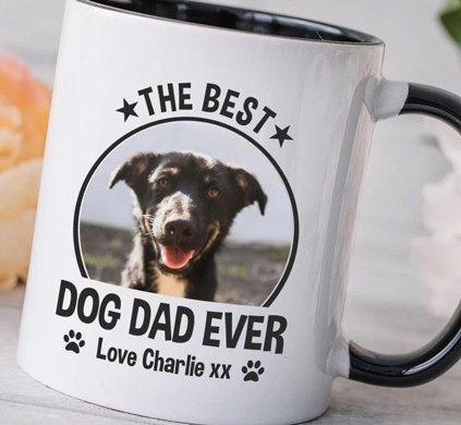 Christmas Gifts For Pets