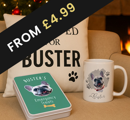 Christmas Gifts For Pets