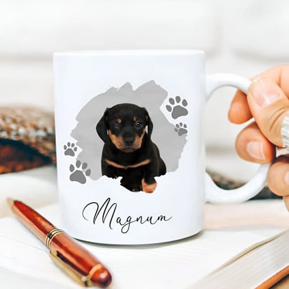 Valentine's Day Gifts From Pets Valentine's Day Gifts From Pets