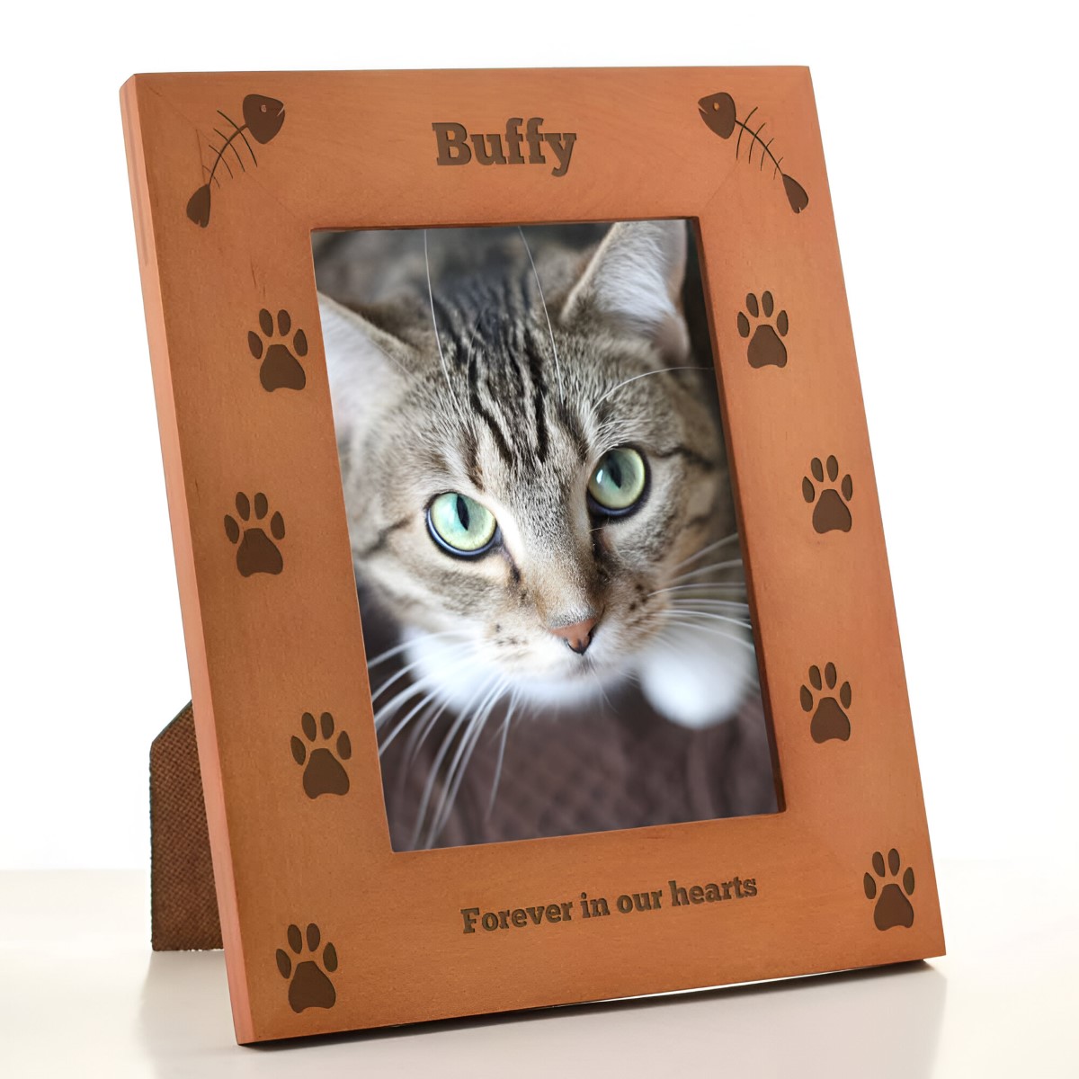 door frame cat toy
