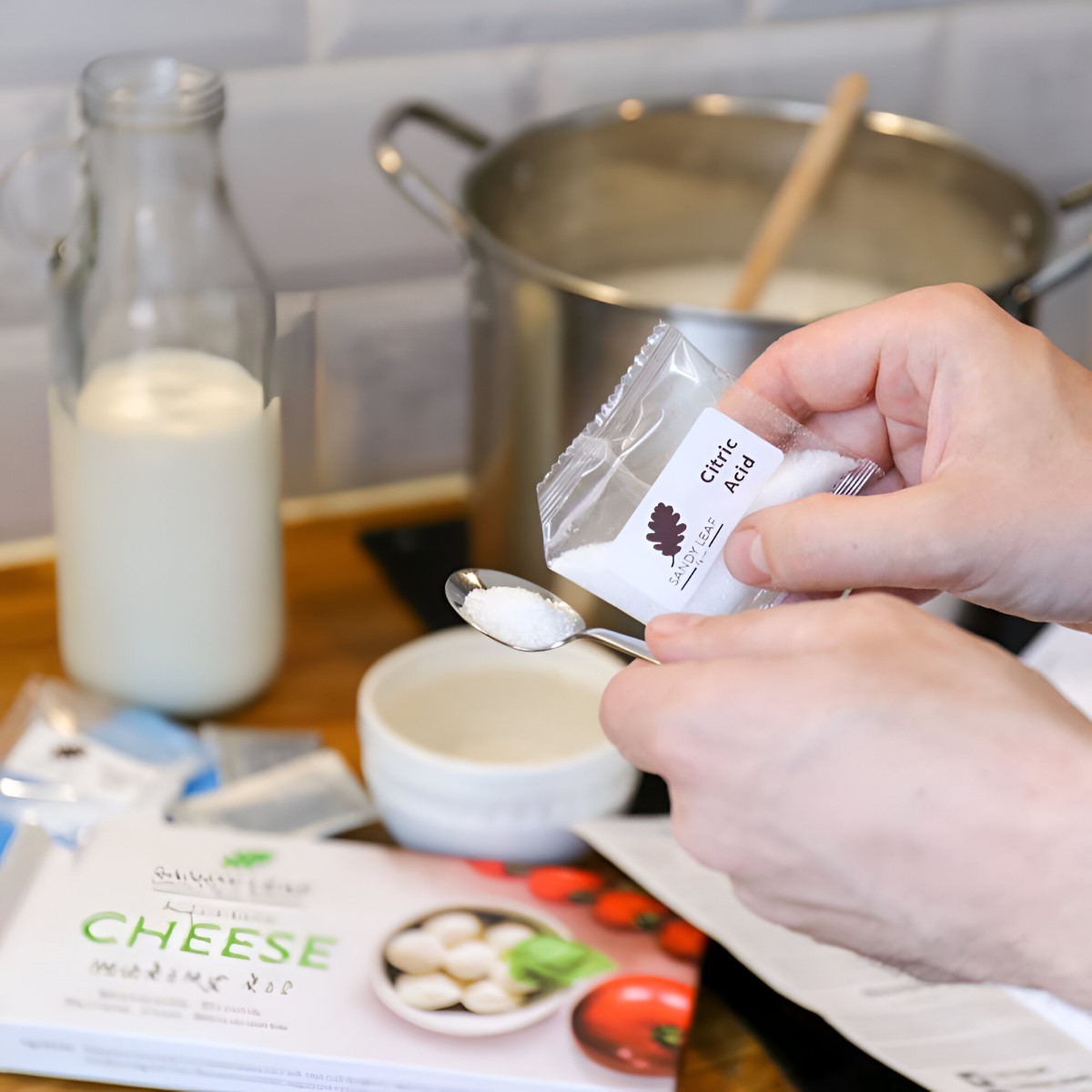 Beginners Cheese Making Kit