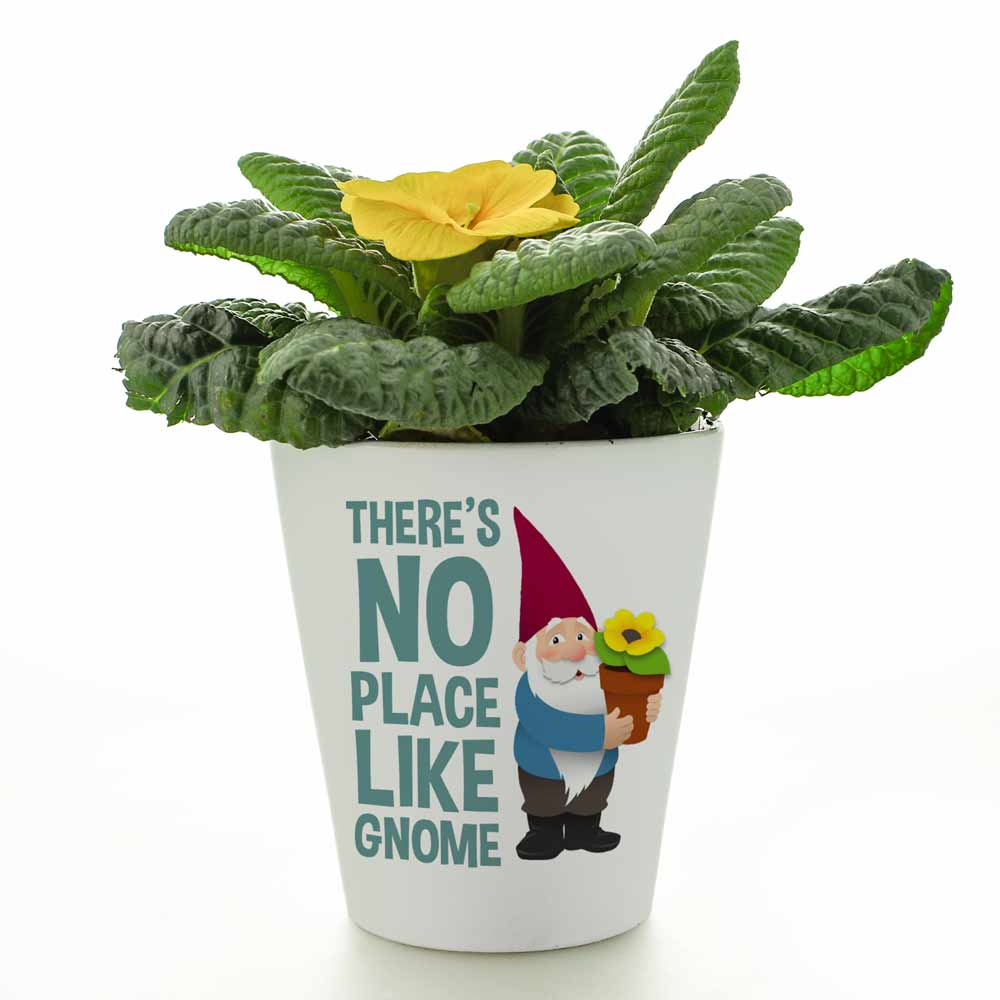 Personalised Flower Pot - There's No Place Like Gnome - Click Image to Close