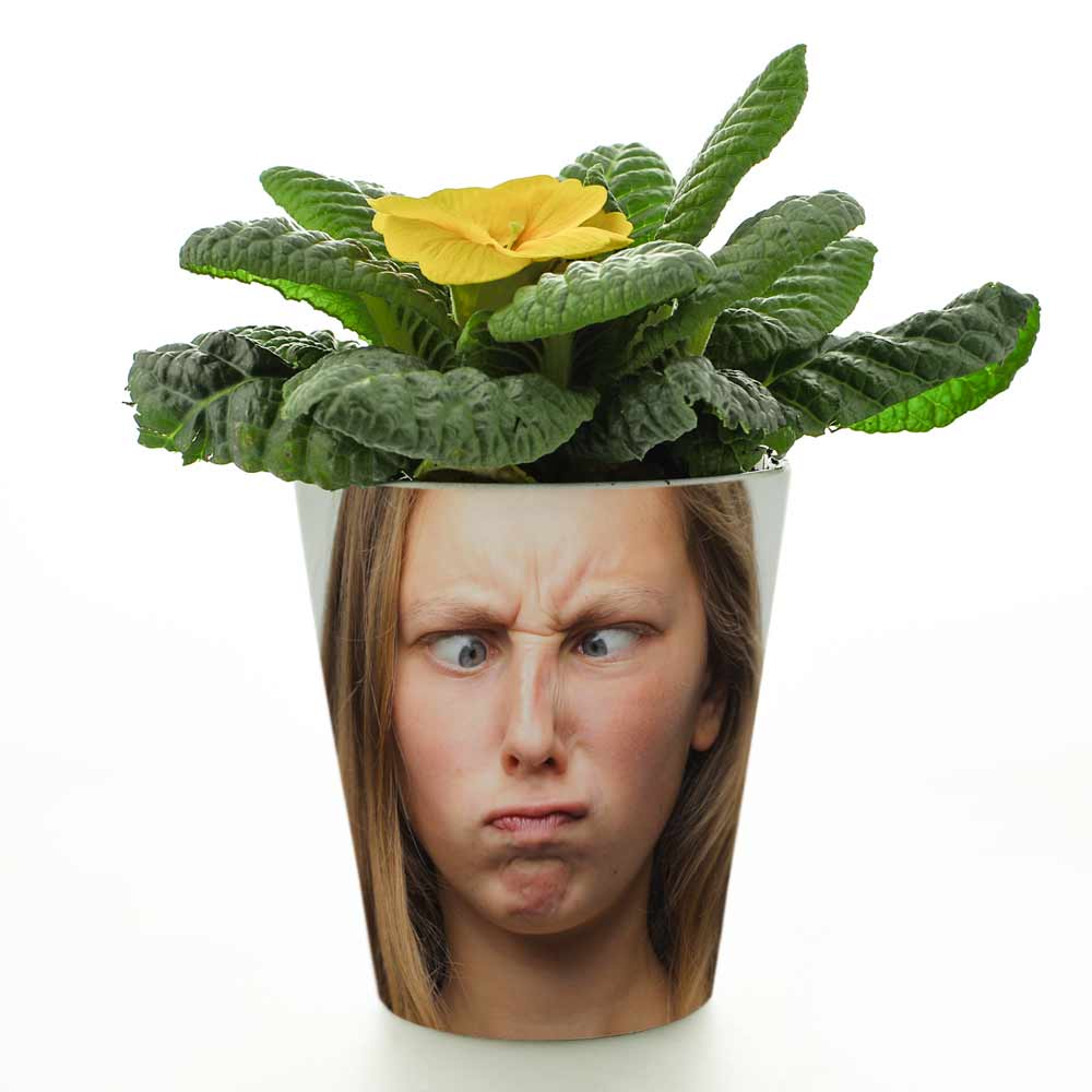 Personalised Face Flower Pot - Click Image to Close