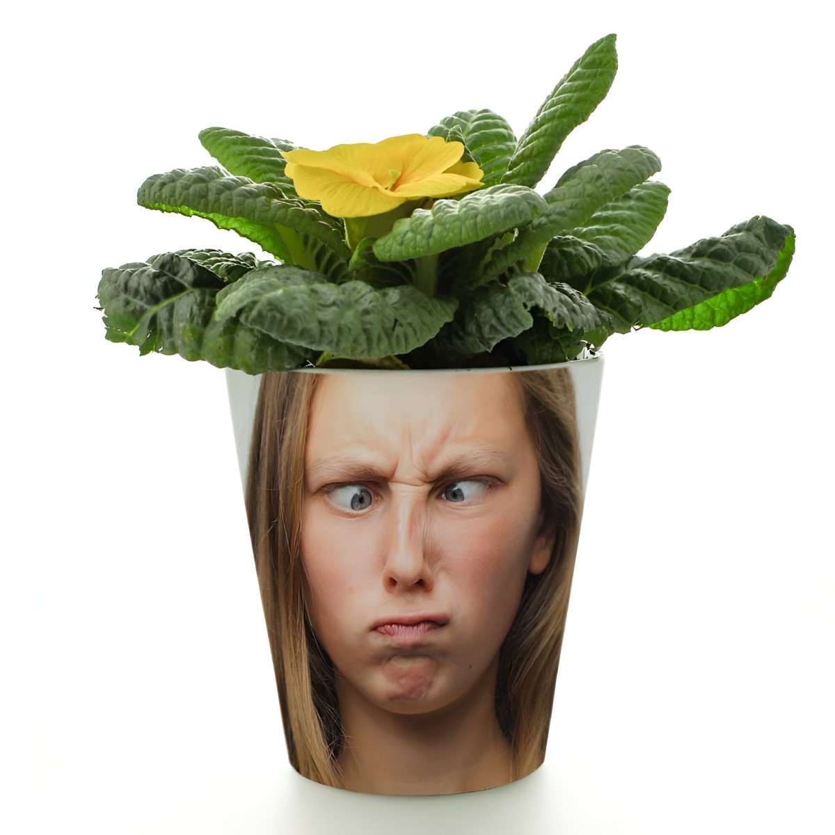 Personalised Face Flower Pot - Click Image to Close