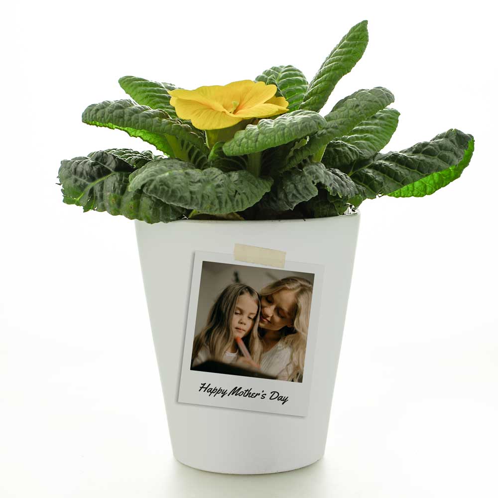 Personalised Flower Pot - Polaroid Photo Upload - Click Image to Close