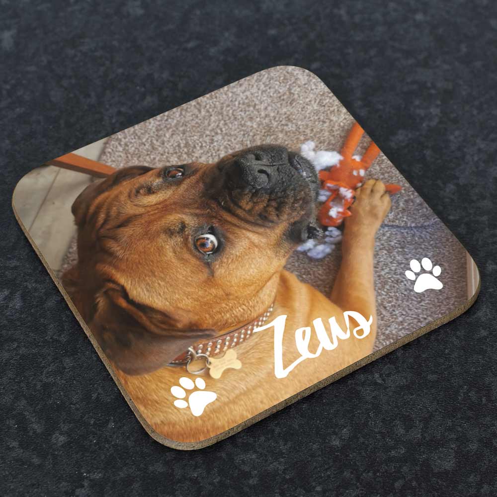 Personalised Photo Coaster - Dog Lover - Click Image to Close