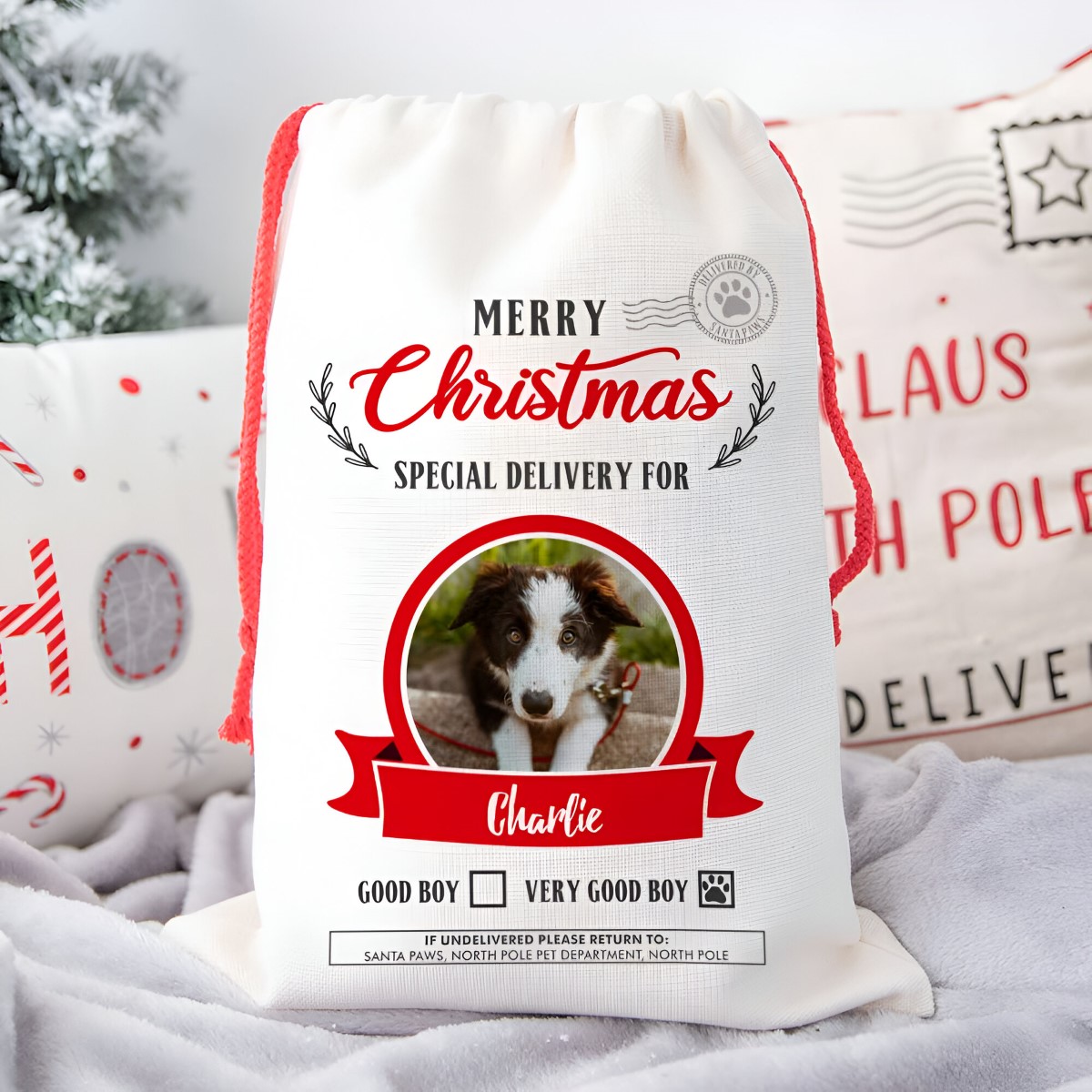 Personalised Dog Santa Sack Photo Upload Christmas Gift - Click Image to Close