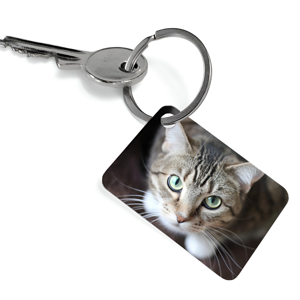 Photo Upload Keyring Rectangle - Click Image to Close