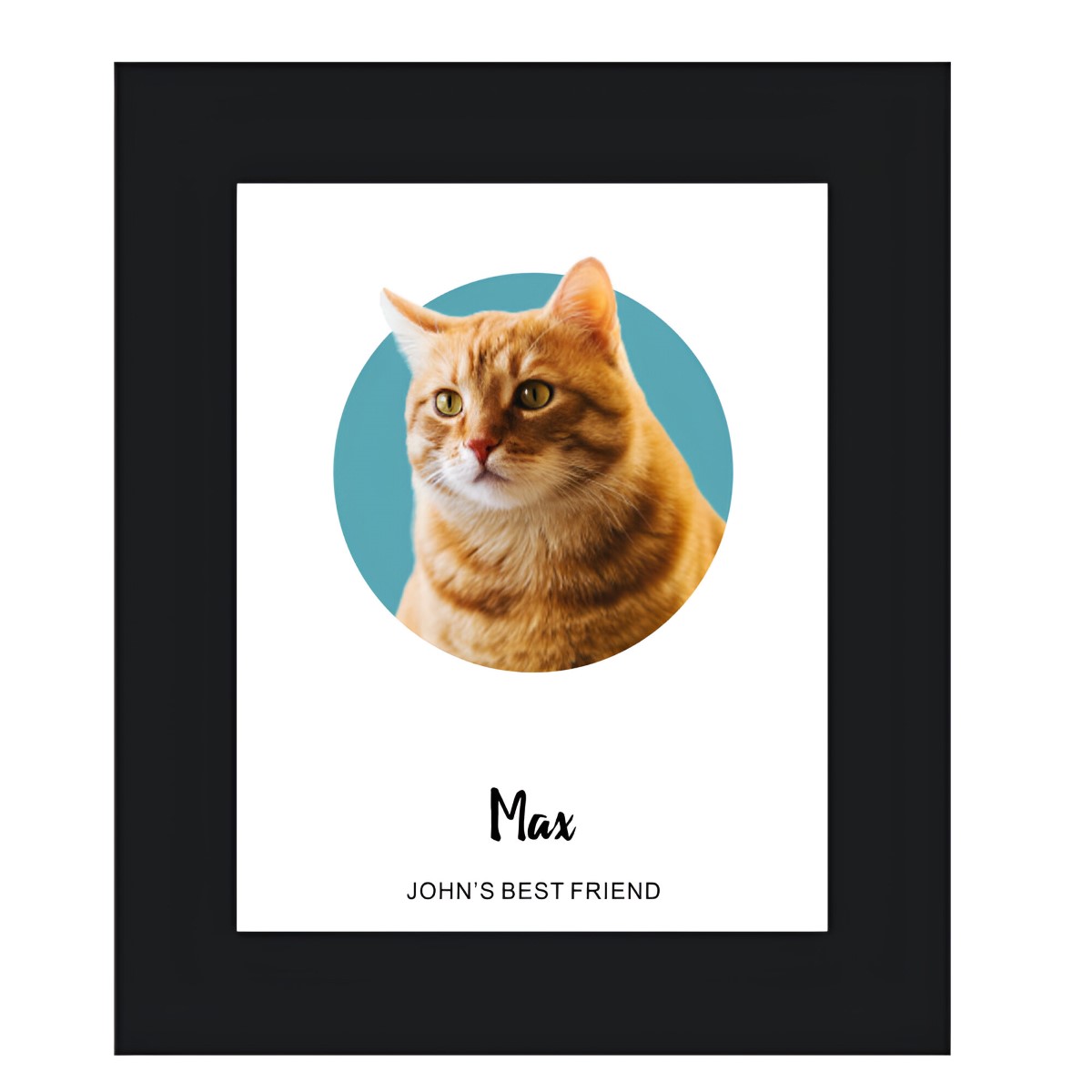 Personalised Pet Cat Portrait Photo Print - Click Image to Close