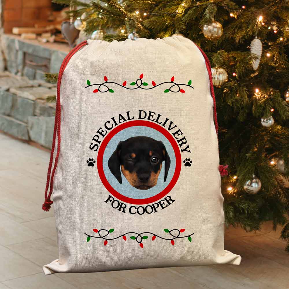 Personalised Special Delivery Photo Santa Sack For Cats And Dogs - Click Image to Close